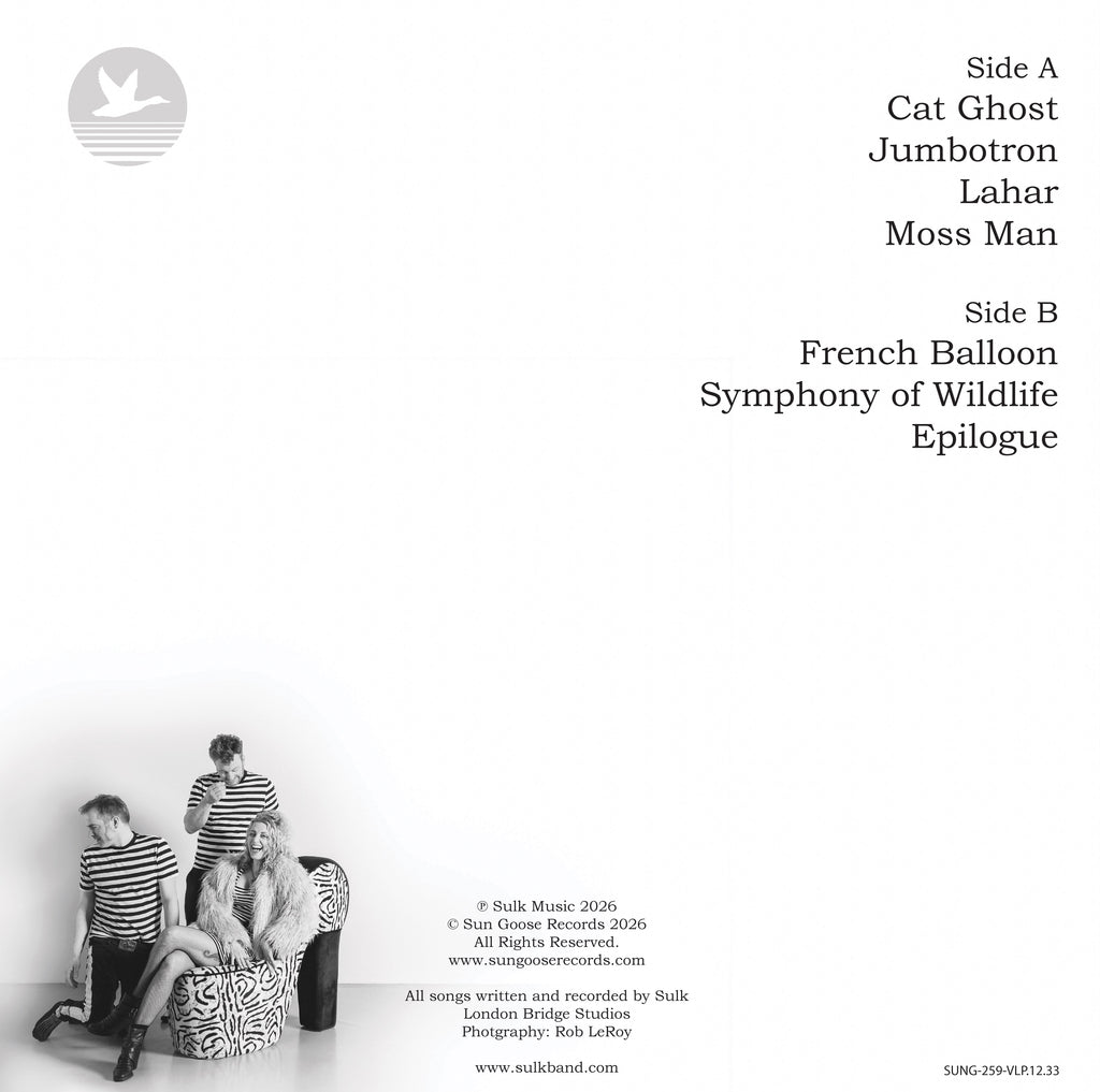 In the Shadow by SULK [Vinyl 12" LP]