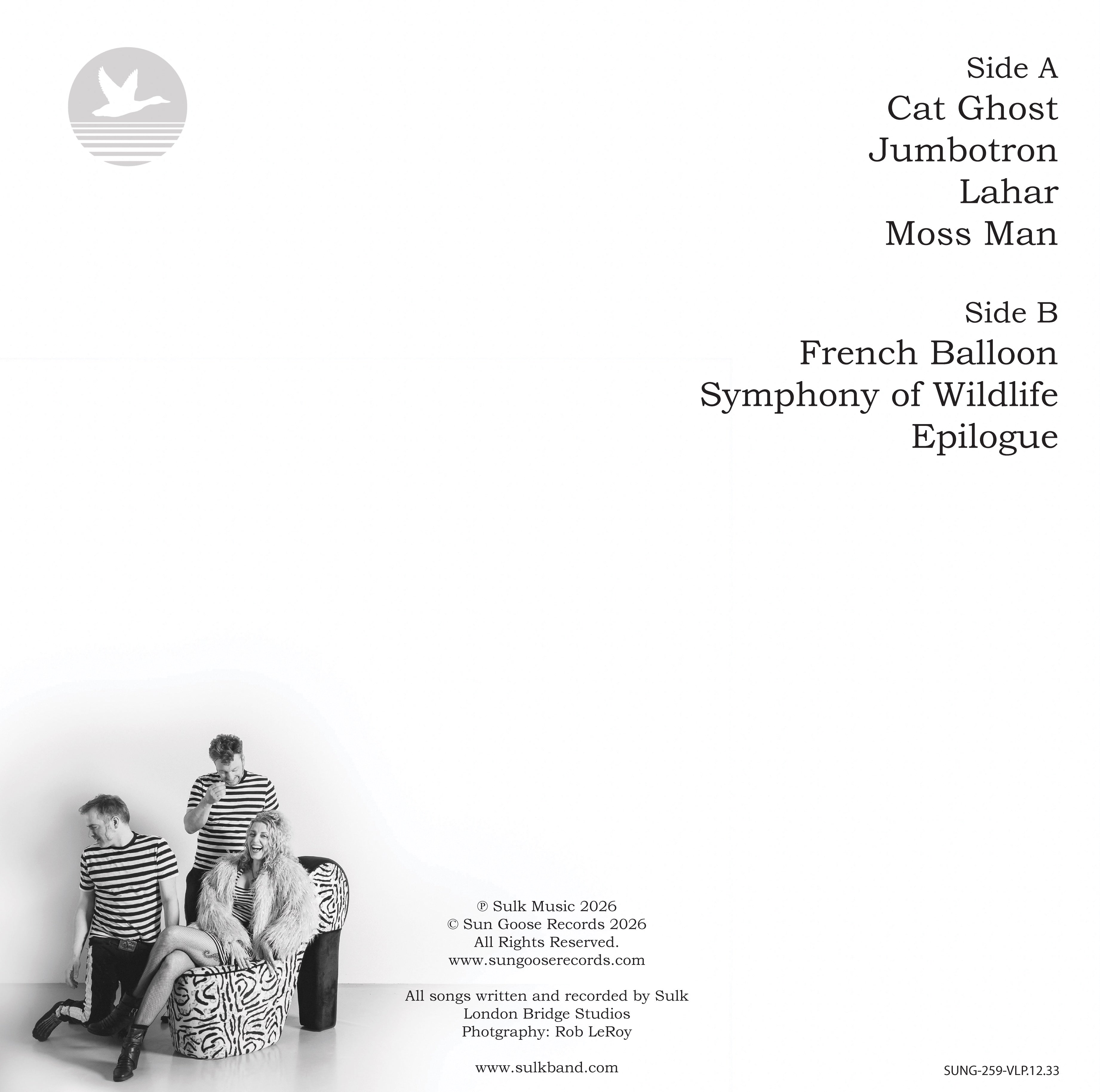 In the Shadow by SULK [Vinyl 12" LP]