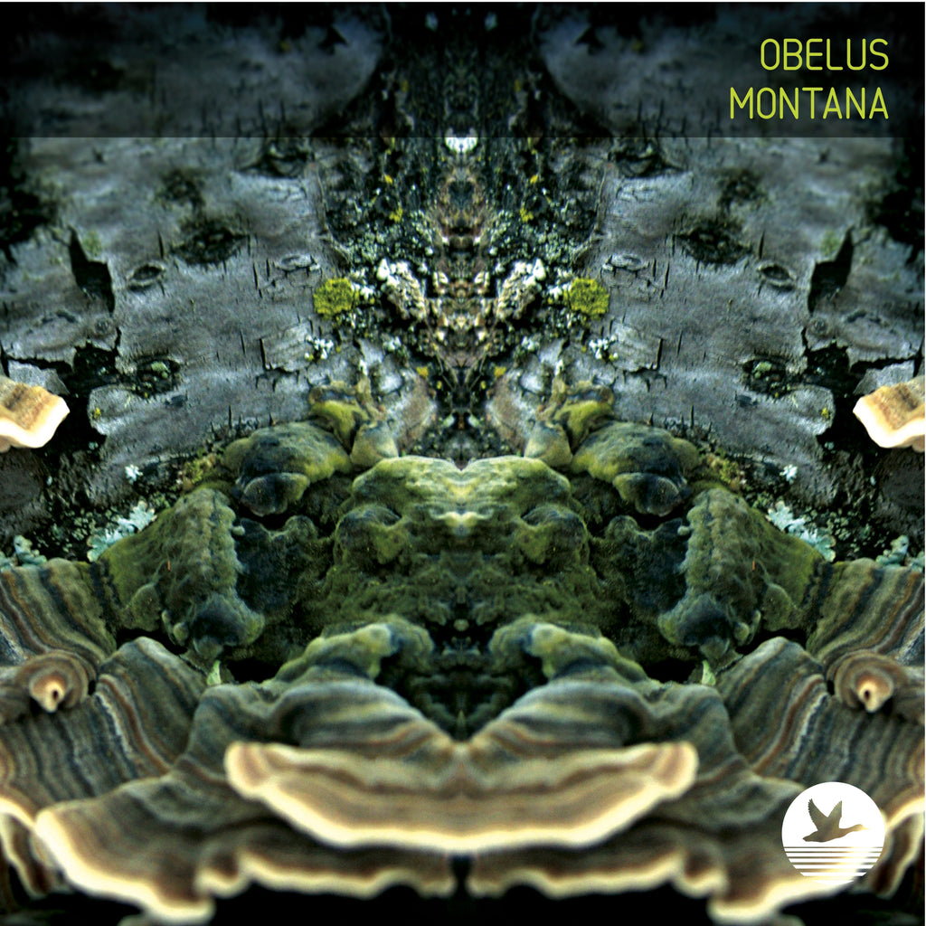 Montana by Obelus [Vinyl 12" LP]