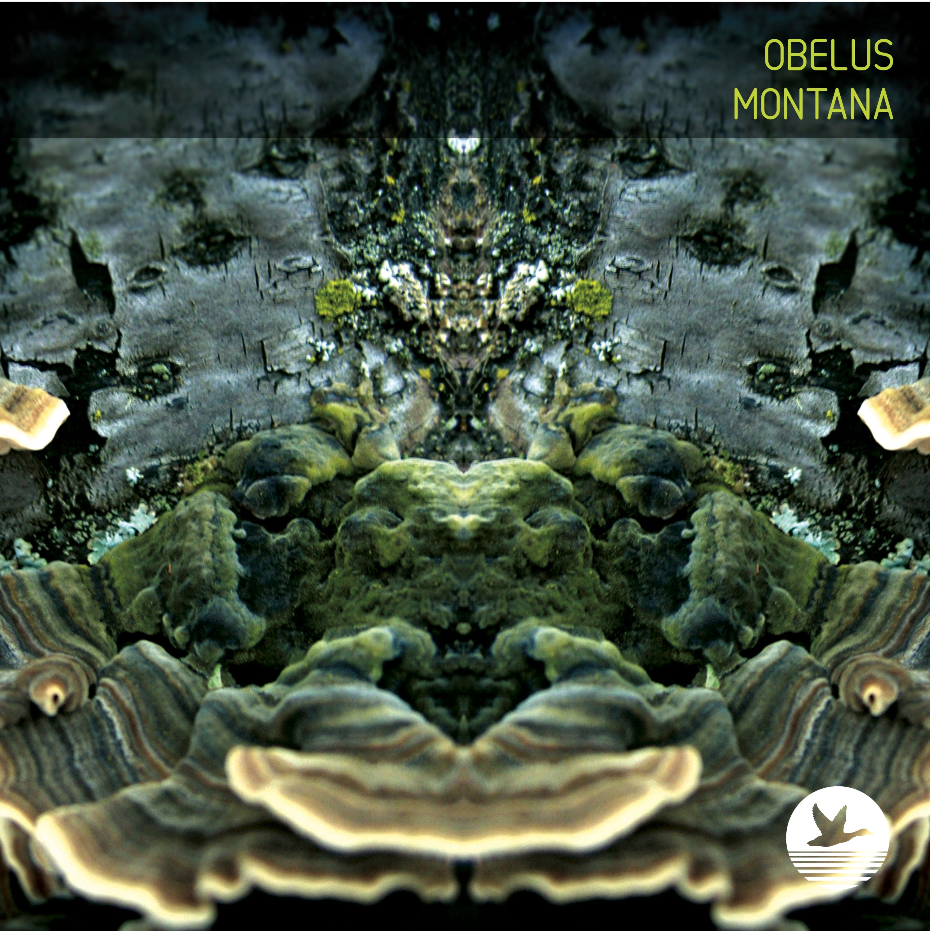 Montana by Obelus [Vinyl 12" LP]